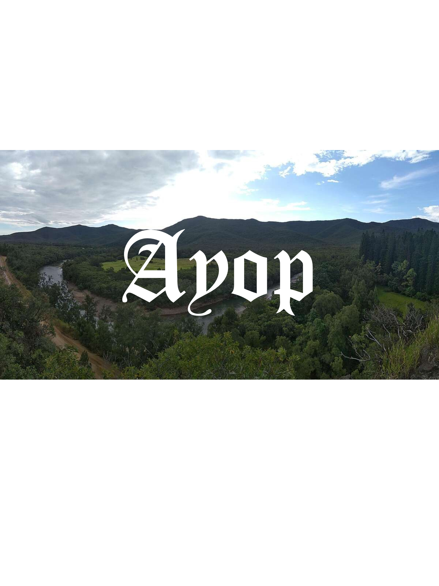 AYOP COLLECTION