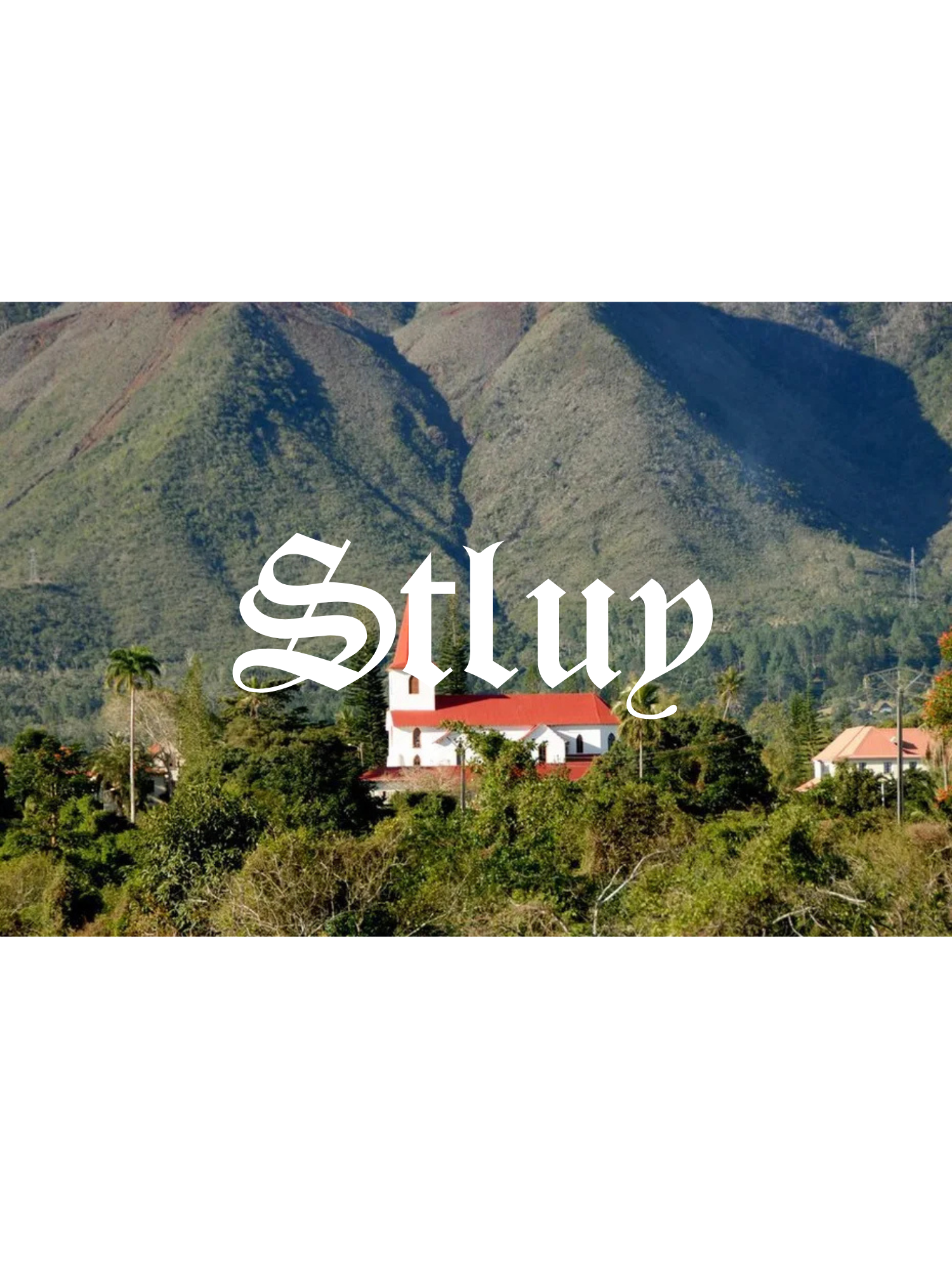 STLUY COLLECTION